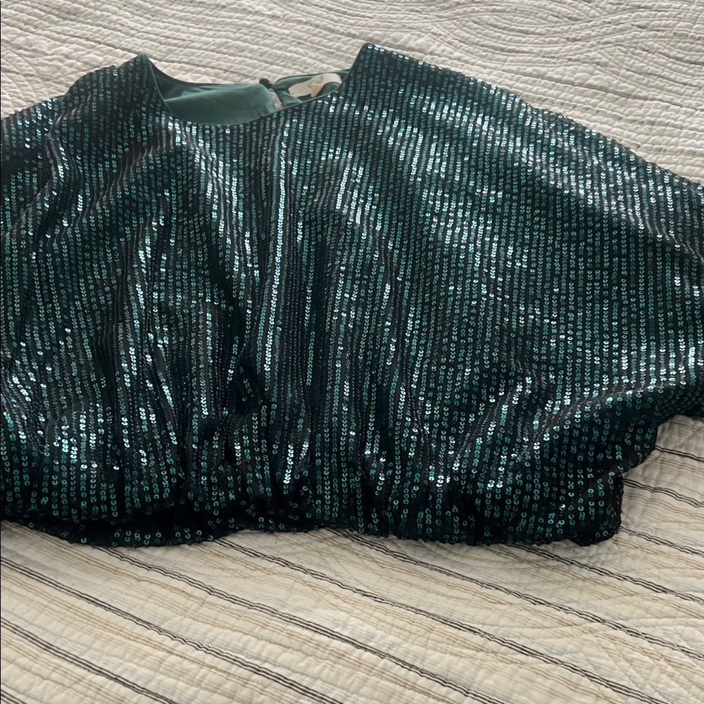 Easel Emerald Sequin Blouse